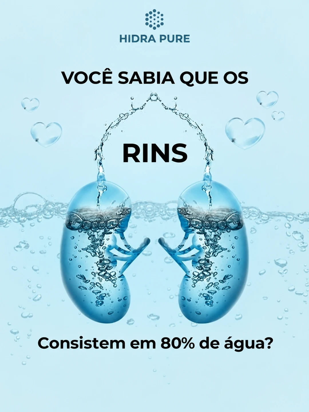 Dois rins feitos de água: você sabia que os rins consistem em 80% de água?
